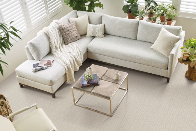 off white cozy carpet in a bright living room with sectional and greenery